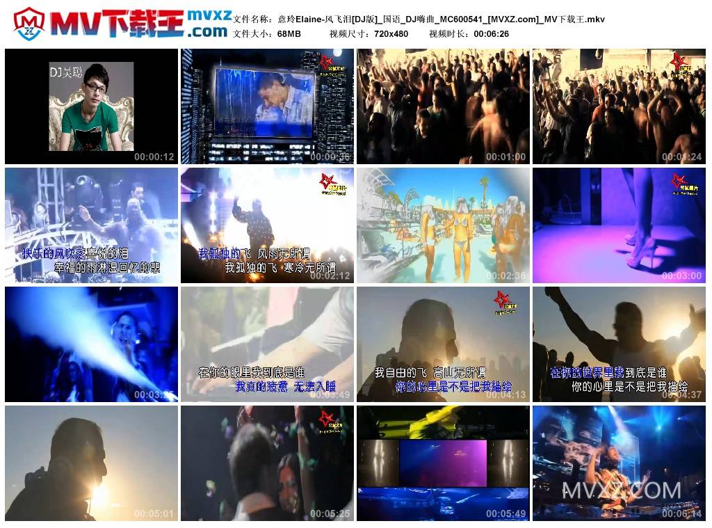 意玲Elaine-风飞泪[DJ版]_国语_DJ嗨曲_MC600541